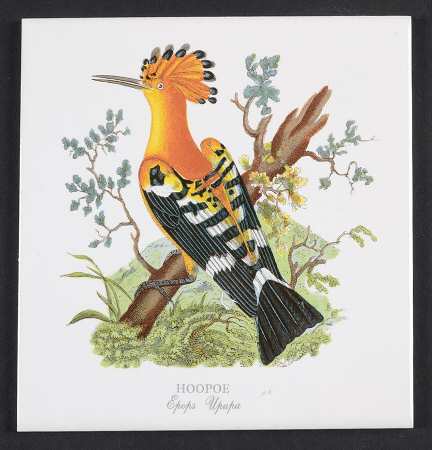 Birds of Britain 6" Individual Ceramic Tile Insert