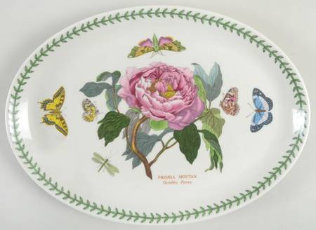 Botanic Garden 13" Oval Steak Platter