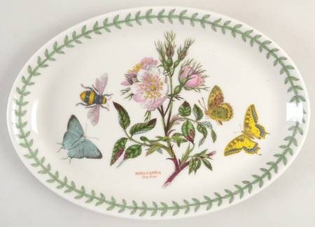 Botanic Garden 10" Oval Steak Platter