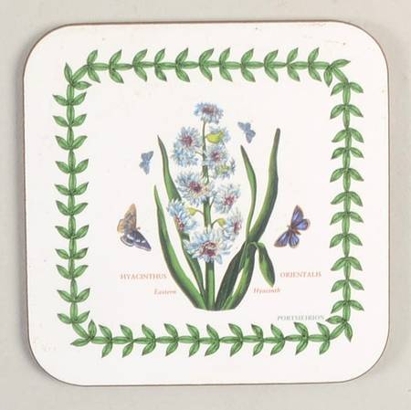 Botanic Garden Square Corkback Coaster