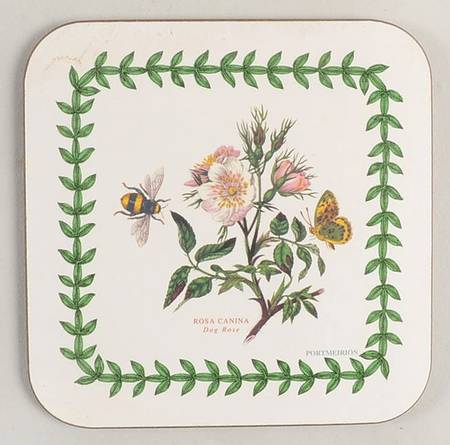 Botanic Garden Square Corkback Coaster