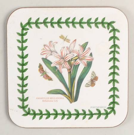 Botanic Garden Square Corkback Coaster