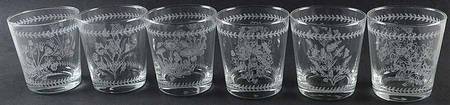 Botanic Garden (Set of 6) 8 Oz Etched Flared Glassware Tumblers