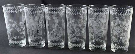 Botanic Garden (Set of 6) 14oz Etch Glassware Highballs
