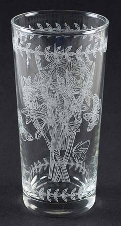 Botanic Garden 14 Oz Etch Glassware Highball