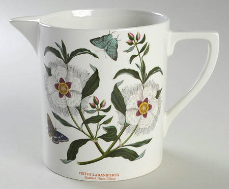 Botanic Garden 24 Oz Pitcher