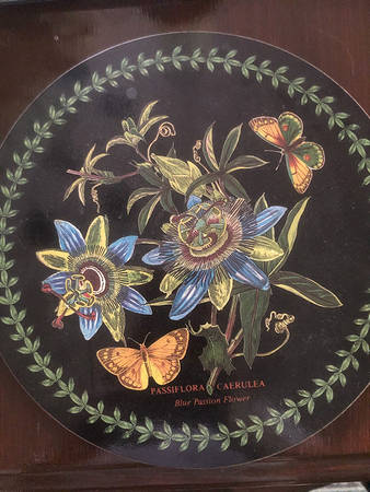 Botanic Garden Round Placemat with Cork Back