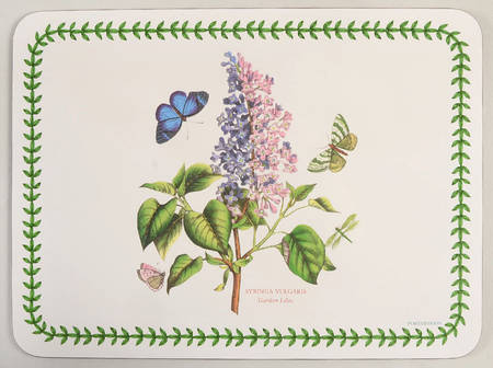 Botanic Garden Small Corkboard Placemat