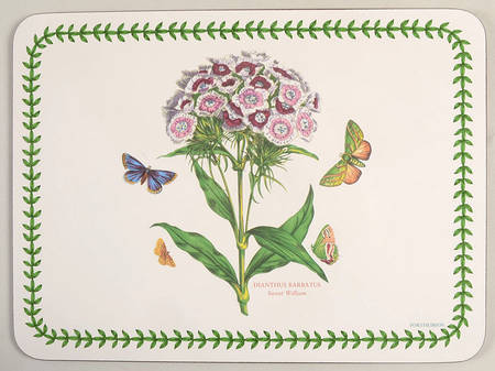 Botanic Garden Small Corkboard Placemat