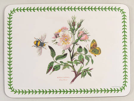 Botanic Garden Small Corkboard Placemat
