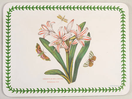 Botanic Garden Small Corkboard Placemat