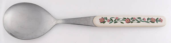 Botanic Garden Salad Serving Spoon W/Stnl Bowl & Plastic Hdl