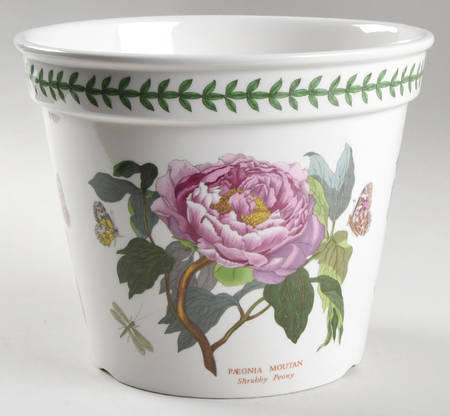 Botanic Garden 7" 25th Anniversary Flower Pot W/Drain Hole