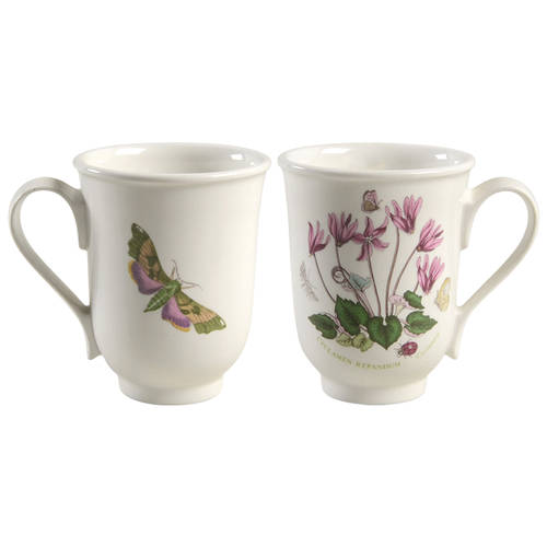 Botanic Garden Beaker (English Mug)