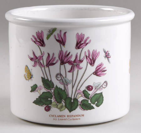 Botanic Garden 4 3/4" Planter Pot