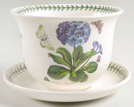 Botanic Garden Amaryllis Pot & Stand