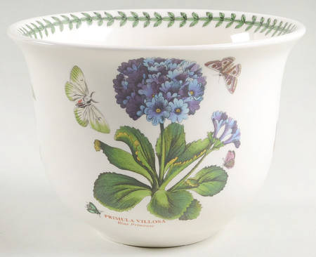 Botanic Garden Amaryllis Pot