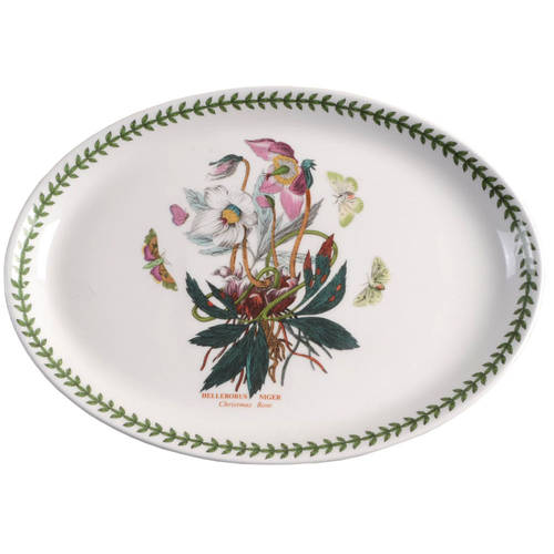 Botanic Garden 13" Oval Steak Platter by Portmeirion