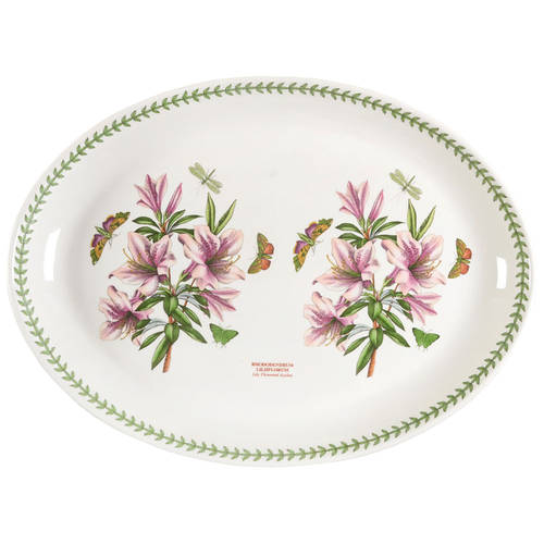 Botanic Garden 20" Oval Steak Platter by Portmeirion