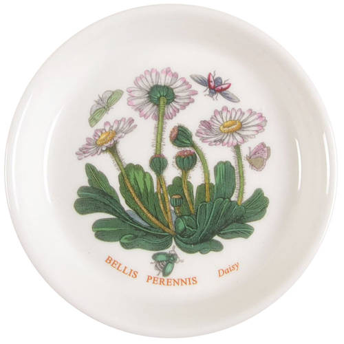 Botanic Garden Coaster