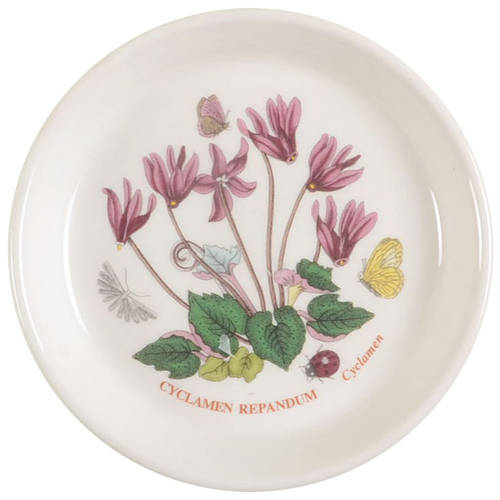 Botanic Garden Coaster
