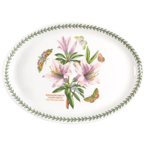Botanic Garden 13" Oval Steak Platter by Portmeirion