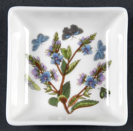 Botanic Garden 3" Square Mini Dish