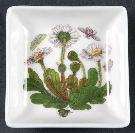 Botanic Garden 3" Square Mini Dish