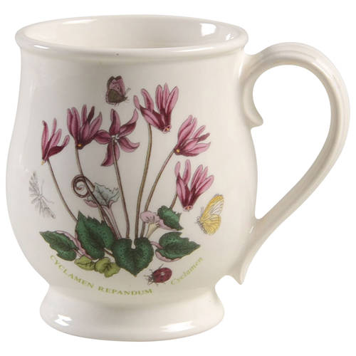 Botanic Garden Bristol Mug