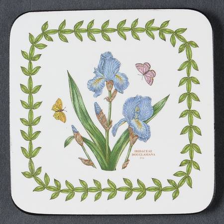 Botanic Garden Square Corkback Coaster