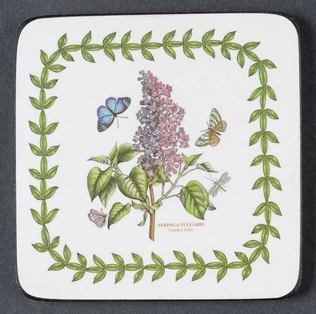 Botanic Garden Square Corkback Coaster