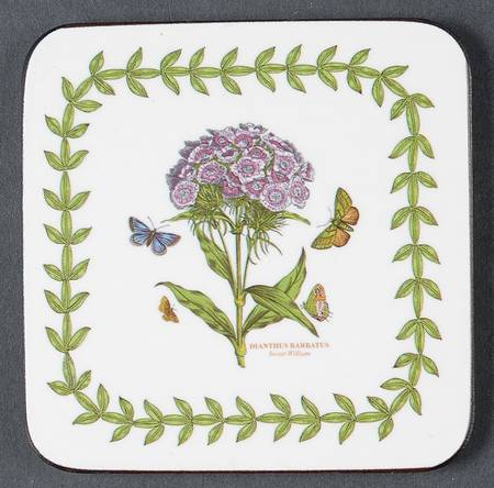 Botanic Garden Square Corkback Coaster