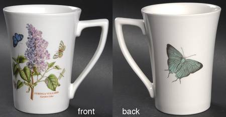 Botanic Garden Mandarin Mug