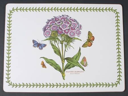 Botanic Garden Corkboard Placemat