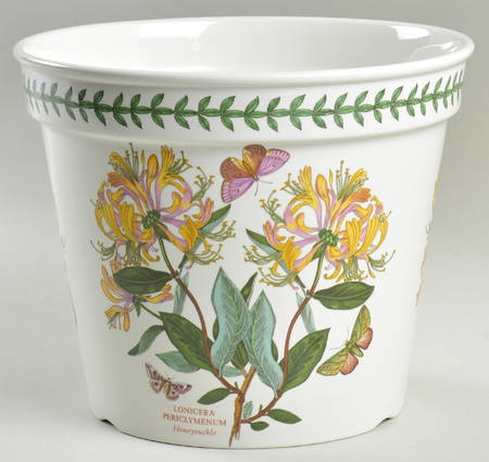 Botanic Garden 7" Flower Pot with Drain Hole