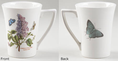 Botanic Garden Mandarin Mug