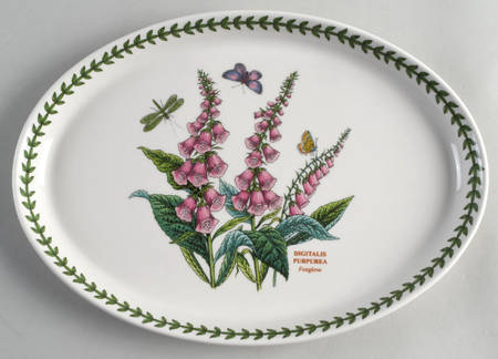 Botanic Garden 12" Oval Steak Platter by Portmeirion