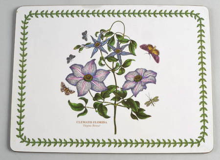 Botanic Garden Small Corkboard Placemat