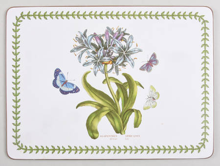 Botanic Garden Small Corkboard Placemat