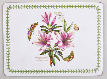 Botanic Garden Small Corkboard Placemat