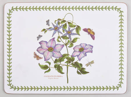 Botanic Garden Small Corkboard Placemat