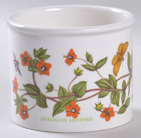 Botanic Garden 3" Planter Pot
