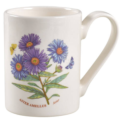Botanic Garden Mug