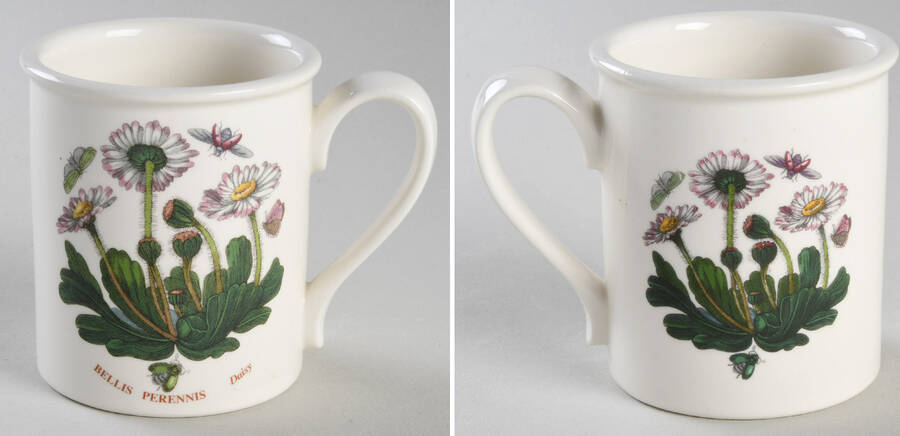 Botanic Garden Breakfast Mug