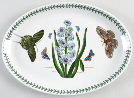 Botanic Garden 13" Oval Steak Platter by Portmeirion
