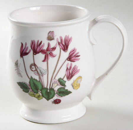 Botanic Garden Bristol Mug