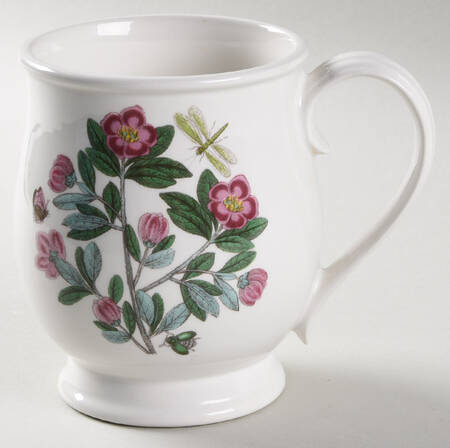 Botanic Garden Bristol Mug