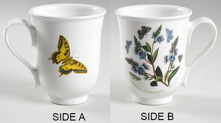 Botanic Garden Beaker (English Mug)