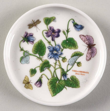 Botanic Garden Coaster (Green Band For Mug Set) (MUSC68)