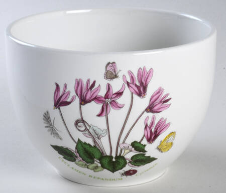 Botanic Garden Chili Bowl